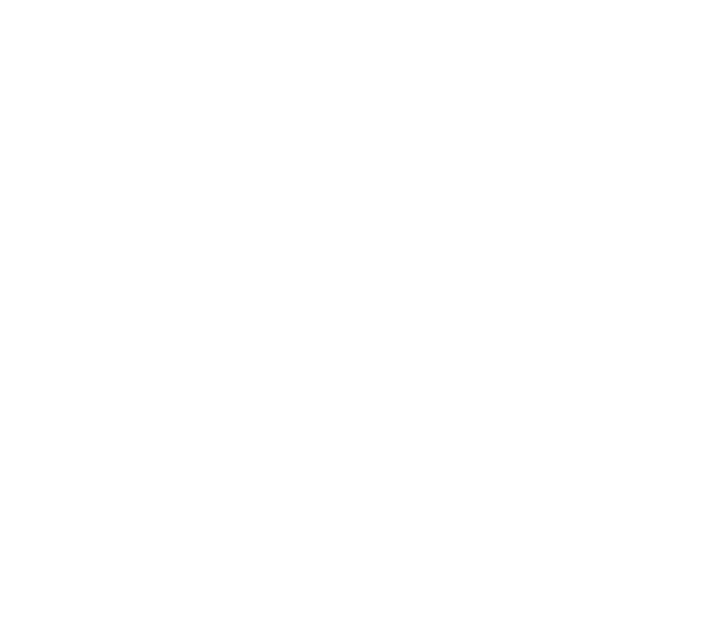 SMShoes - Sofware para zapateros